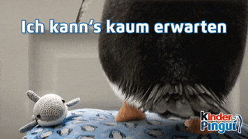 kinder_Pingui excited sweet penguin waiting GIF