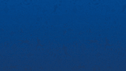 Bourg En Bresse Win GIF by Football Bourg-en-Bresse Péronnas 01
