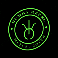 Rumbamezcal rebel mezcal artesanal rumba GIF