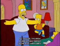 homer simpson GIF