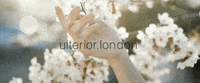ulteriorlondon  GIF