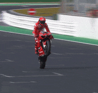 DucatiMotor bike race moto motogp GIF