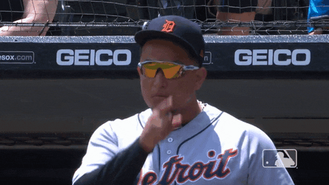 Major League Baseball Reaction GIF by Detroit Tigers