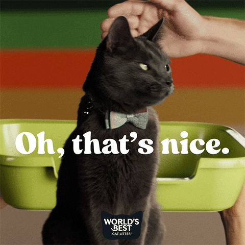 Keep Going Do It Again GIF by Worlds Best Cat Litter