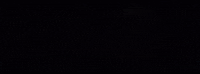 Hollywood Thornhill GIF by unfdcentral