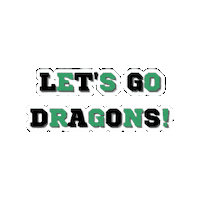 Dyf Sticker by Dragon Youth Football