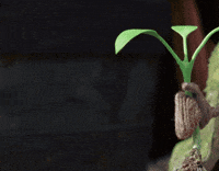 Excited Look At Me GIF by Tweedy & Fluff