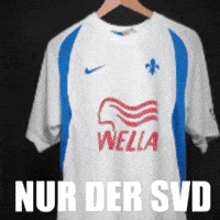 Sv Darmstadt 98 GIF