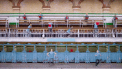 Curing Albrecht GIF by English National Ballet