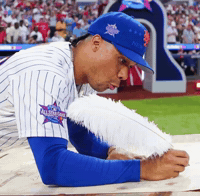 Juan Soto Mets GIF