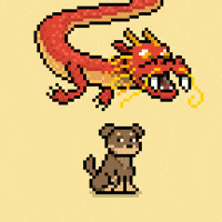 Lets Go Wow GIF by Doginal Dogs