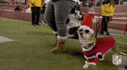 National Football League GIF by NFL
