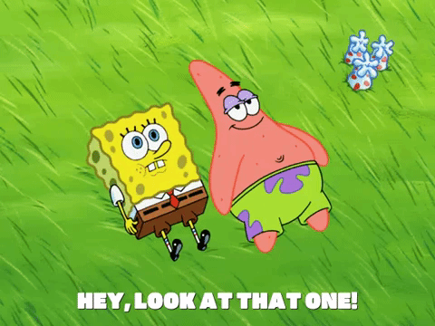 season 8 episode 10 GIF by SpongeBob SquarePants