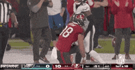 Tampa Bay Buccaneers Football GIF by NFL