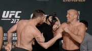 ufc 217 GIF
