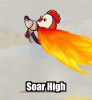 Soar High Freedom GIF by Zorooster