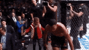 ufc 231 sport GIF by UFC