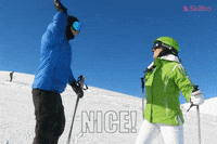SkiBro skiing skibro GIF