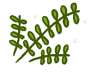 Plant Tree Sticker by Julia Gluyas