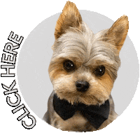 Click Sticker
