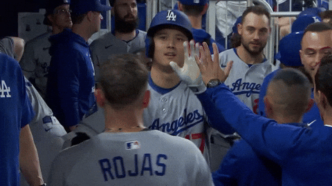 Los Angeles Dodgers Sport GIF by MLB