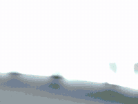 Mad Jay GIF