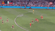 Taylor Walker Mark GIF by Adelaide Crows
