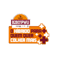 2801 Sticker by Brevant Sementes