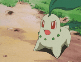 Angry Leaf GIF by Pokémon