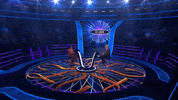 Wwtbammay25E2 GIF by Stellify Media