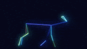 Sci Fi Yolo GIF by Paul Trillo