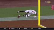 gostanford  GIF