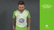 oh no wolves GIF by VfL Wolfsburg
