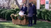 barack obama potus GIF by Obama
