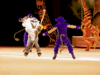 The Lion King Feld GIF by Disney On Ice