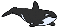 Global Warming Ocean Sticker