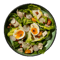 barolodundarave barolo west vancouver westvancouver bar olo Sticker