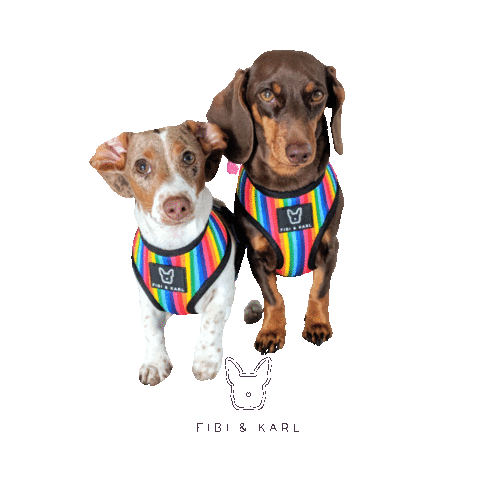 Hot Dog Love Sticker by Fibi & Karl