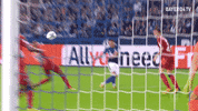 bayer 04 leverkusen bernd GIF
