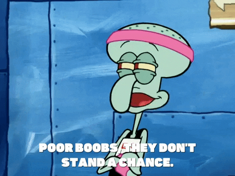 season 5 GIF by SpongeBob SquarePants