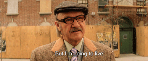 the royal tenenbaums GIF