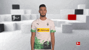 Come On Wtf GIF by Bundesliga