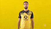 Borussia Dortmund Hello GIF by Bundesliga