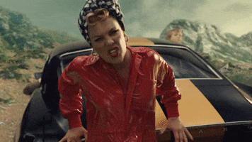 Dave Meyers GIF by P!NK