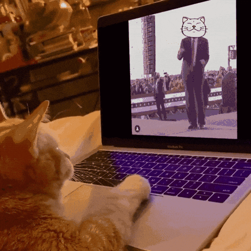Dance Cat GIF by ShiroNeko