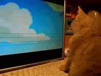 plop GIF