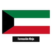 Flag Pixel Art Sticker by Formación Ninja
