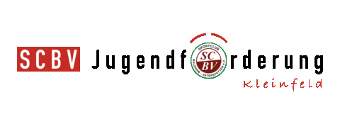 scbv-jugendfoerderung giphyupload scbv sc baldham-vaterstetten scbv jugendfoerderung Sticker