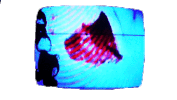 Television Glitch Sticker by Gisela Guzmán