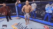 Sport Mma GIF by UFC